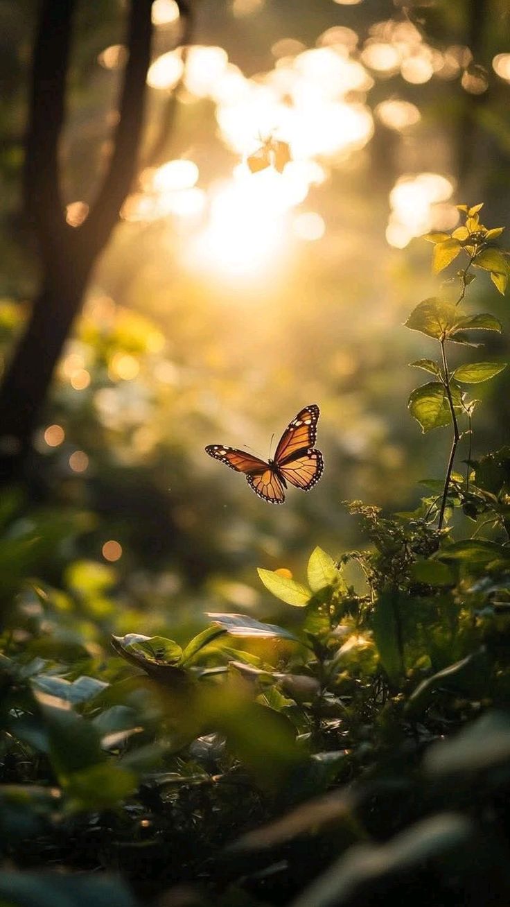 Borboleta sob a luz do sol entre folhagens, em referência ao amadurecimento no próprio ritmo